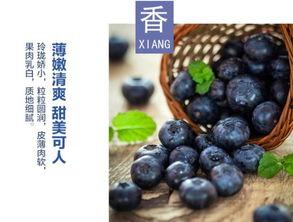 抖音国产 第8页